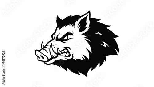 Aggressive wild boar head mascot illustration in black and white with sharp tusks for powerful sports team logo design.