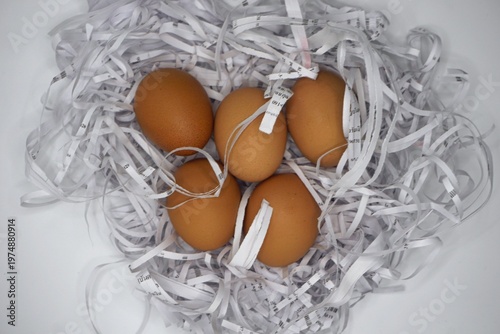 Konstfotografi A creative and minimalist shot featuring five organic brown eggs resting in a nest made of shredded recycled paper