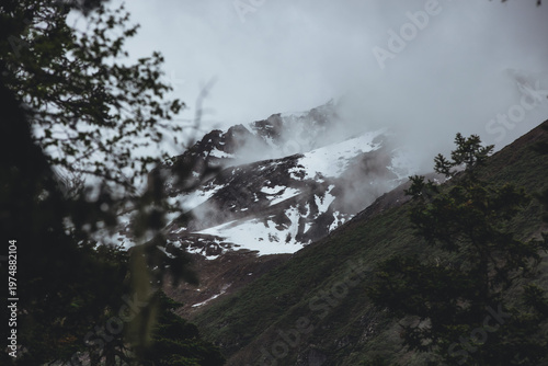 snow and fog in the forest mountains