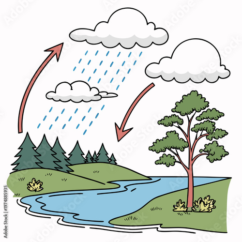A simplified illustration depicts the water cycle showing evaporation condensation precipitation and collection impacting land and trees high quality professional detailed modern