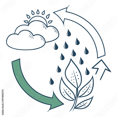 This illustration depicts the water cycle showing evaporation condensation precipitation and absorption by plant life high quality professional detailed modern elegant stylish