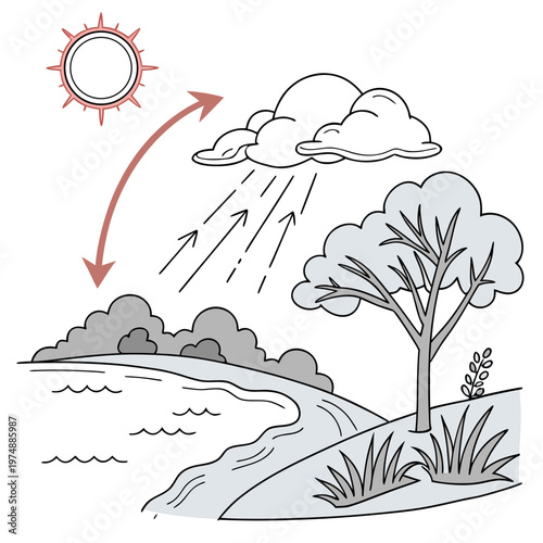 A simple illustration depicts the water cycle showcasing evaporation condensation precipitation and collection stages with sun clouds and land high quality professional