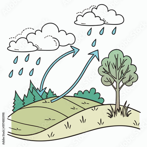 This illustration depicts the water cycle showing evaporation from land and plants rising to form clouds and subsequent rainfall high quality professional