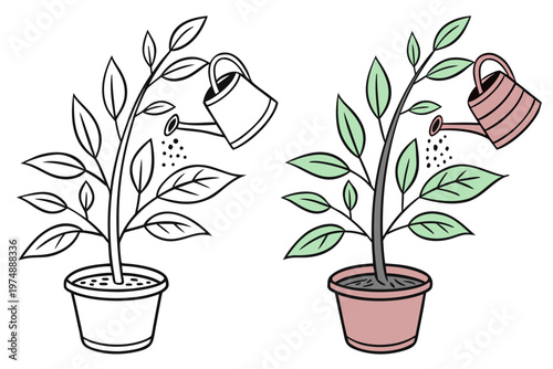 Vector graphic illustration showing a young potted plant being watered by a simple hand held gardening watering can set