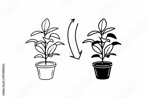 Minimalist vector illustration showing two identical potted house plants with a curved arrow indicating a change in color design