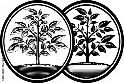 Detailed black and white vector graphic illustration featuring two circular frames containing stylized growing saplings rooted in fertile soil layers