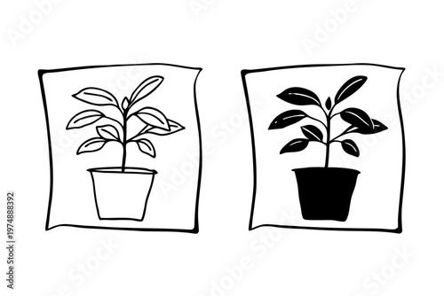 Simple vector graphic illustration featuring two stylized potted houseplant designs with leaf shapes arranged in a clean hand drawn style