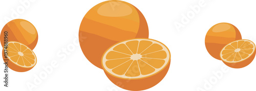 Orange Fruit Set Whole and Sliced Citrus Vector Illustration