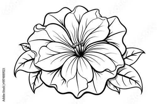 coloring page line art the petunia flower black veector