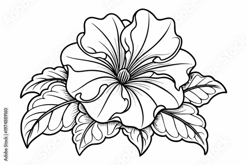 coloring page line art the petunia flower black veector