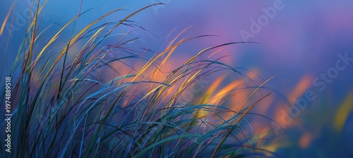 Delicate blades of grass sway against a soft purple and blue, sunset-lit sky