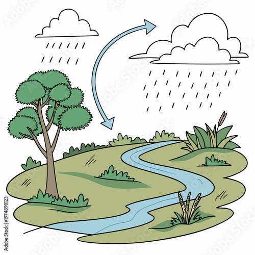 This illustration depicts the water cycle in a simplified landscape showcasing evaporation condensation precipitation and a flowing river high quality professional detailed