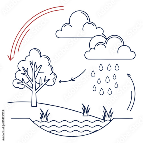 A simple line drawing depicts the water cycle showing evaporation condensation precipitation and collection processes in nature high quality professional detailed modern