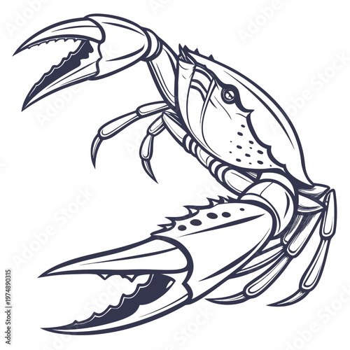 A detailed black and white illustration depicts a crab with prominent claws showcasing its segmented body and textured shell high quality professional