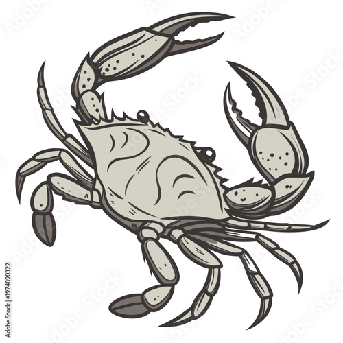 A detailed illustration depicts a gray crab with prominent claws facing forward showcasing its segmented legs and textured shell high quality professional
