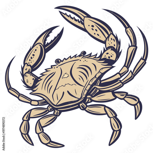 An illustrative depiction showcases a stylized crab with prominent claws detailed shell textures and a vintage aesthetic high quality professional modern elegant