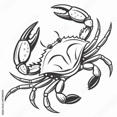 A detailed black and white illustration showcases a crab with prominent claws textured shell and stylized anatomical features facing left high quality
