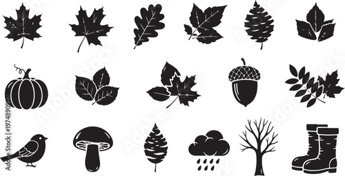 Autumn icons and symbols in black and white illustration