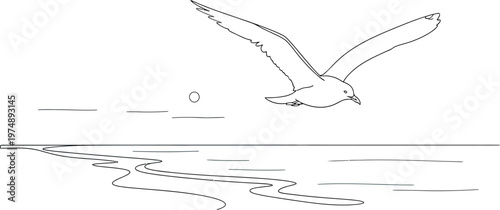 A graceful seagull soars above the tranquil beach and calm ocean waters, depicted in a beautiful minimalist line art style with soft pastel color accents.