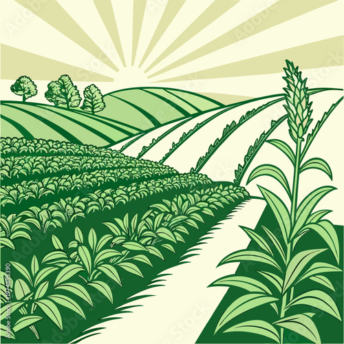 A vibrant stylized landscape depicts rolling green hills fields of crops and a prominent corn stalk in the foreground high quality professional