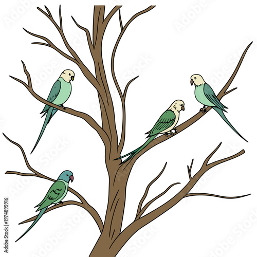 A colorful illustration depicts four parakeets perched on the branches of a bare brown tree against a white background high quality professional