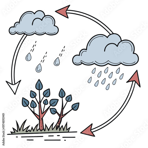 This illustration depicts the water cycle showing evaporation condensation precipitation and collection as rain falls on plants high quality professional detailed modern