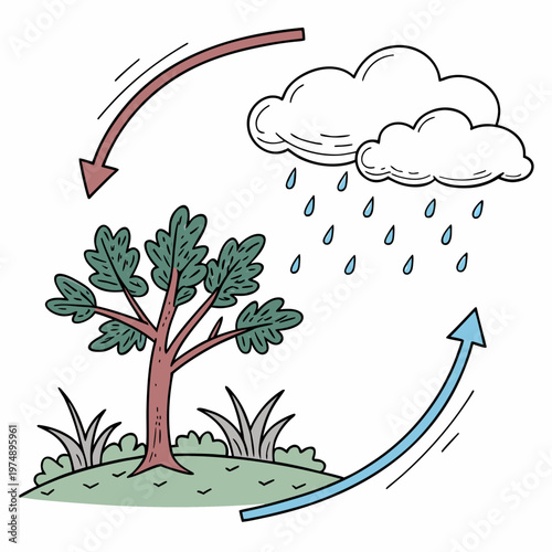 A colorful illustration depicts the water cycle showing evaporation condensation precipitation and collection processes in nature high quality professional detailed modern elegant
