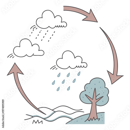 This illustration depicts the continuous water cycle showing evaporation condensation precipitation and collection with a tree and body of water high quality