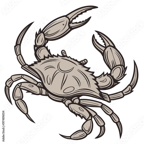 A vintage style illustration depicts a crab with outstretched claws showcasing its segmented legs and carapace in a detailed sketch high quality