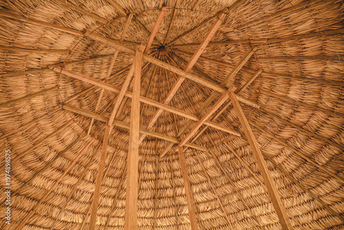 Fotografija Interior view of a traditional Embera thatched roof made of palm leaves and wood