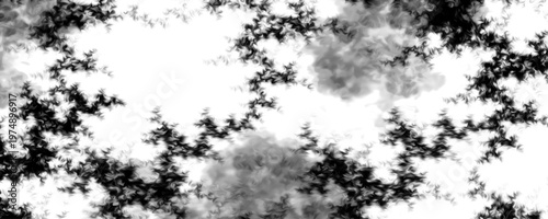 Abstract black and white geometric fractal texture background. This highly detailed distressed monochromatic pattern forms a sophisticated template for cutting-edge commercial designs.