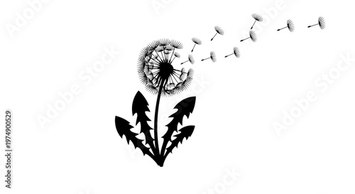 Dandelion Seed Head Blowing in Wind, Black Silhouette on White Background