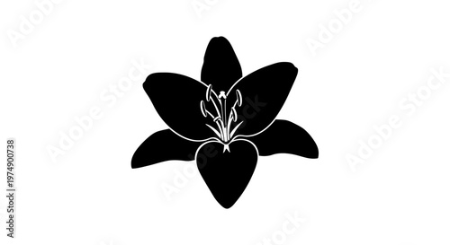 Black silhouette of a blooming lily flower on a white background, vector graphic