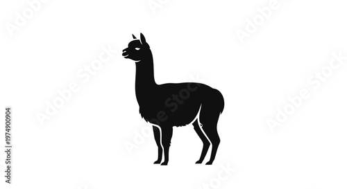 Black silhouette of a standing alpaca isolated on white background.