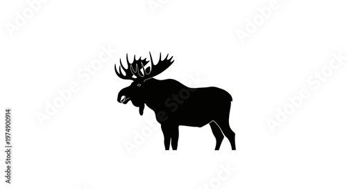 Majestic Moose Silhouette with Antlers on White Background