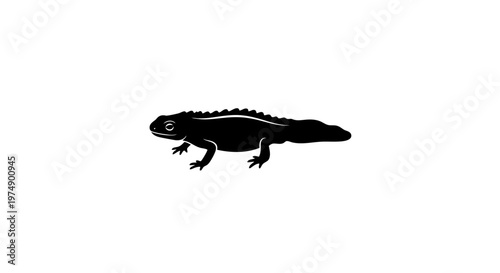 Black Silhouette of a Newt on White Background