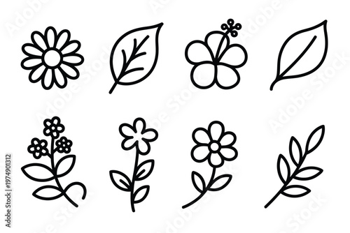 A collection of delicate hand drawn line art floral and leaf illustrations in black and white