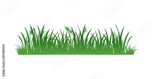 Green grass silhouette. Cartoon lines of plants and shrubs for boarding and framing, eco and organic logo element. Vector set spring field planting shapes lawn or borders garden on white background .v