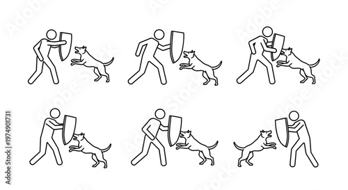 Dog training sequence showing protective bite work handler in protective suit dog lunging with shield detailed action
