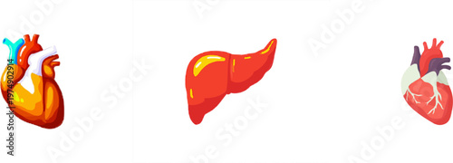 A vibrant, cartoon-style anatomical heart illustration in soft coral and white hues stands out against a pure white background