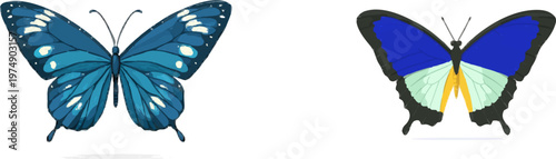 A minimalist blue butterfly with white wing patterns floats gracefully on a pure white background, showcasing sharp clean contours and delicate colors in a high-precision vector illustration