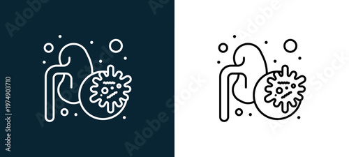 Two-color lungs outline icon pair in black and white, editable stroke vector illustration for web, mobile apps, UI design, branding, and print from Coronavirus