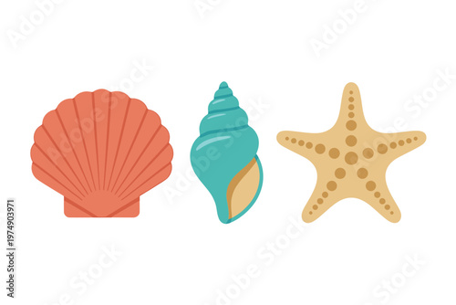 A colorful illustration depicts a vibrant red scallop shell a teal spiral shell and a yellow starfish