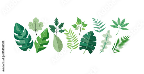 Collection of greenery leaf plant forest herbs tropical leaves .vector icon
