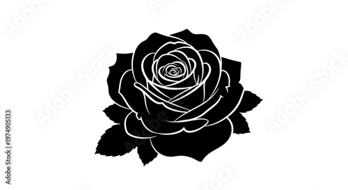 Elegant Black Rose Silhouette Vector Graphic, Isolated White Background