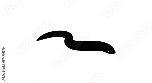 Black silhouette of a long eel or snake on a white background