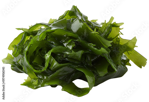 Pile of fresh green wakame seaweed isolated on transparent background for asian cuisine