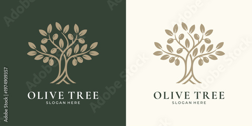 Olive tree logo design with branch and fruit