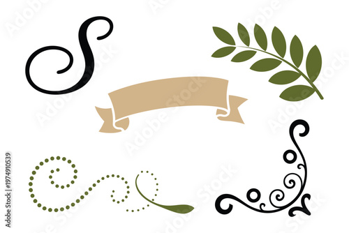 An assortment of decorative design elements including flourishes a ribbon and botanical leaves high quality professional