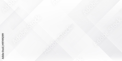 White abstract background. Silver effect texture. Light gray colour textur. Grey platinum pattern. Modern backdrop. Gradient delicate surface print. Design bg for business prints. Vector illustration